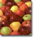 apples.gif (113994 bytes)
